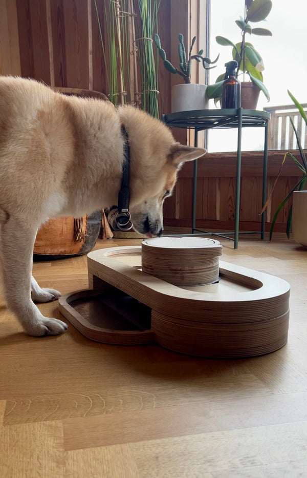 Spills are out! Skill is in! Instagram reel