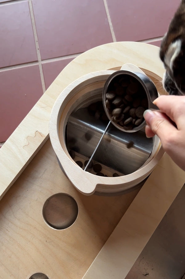 Hungry Hippo! Instagram Reel