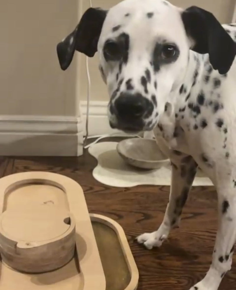 UGC Video Athena! Instagram reel